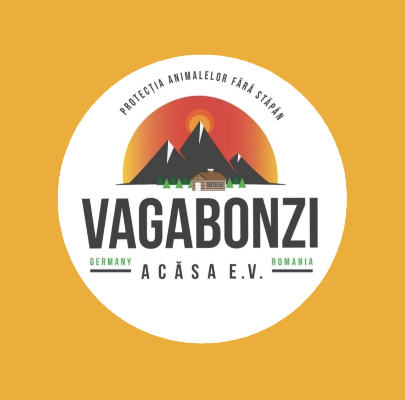 Vagabonzi Acasa