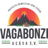 Vagabonzi Acasa