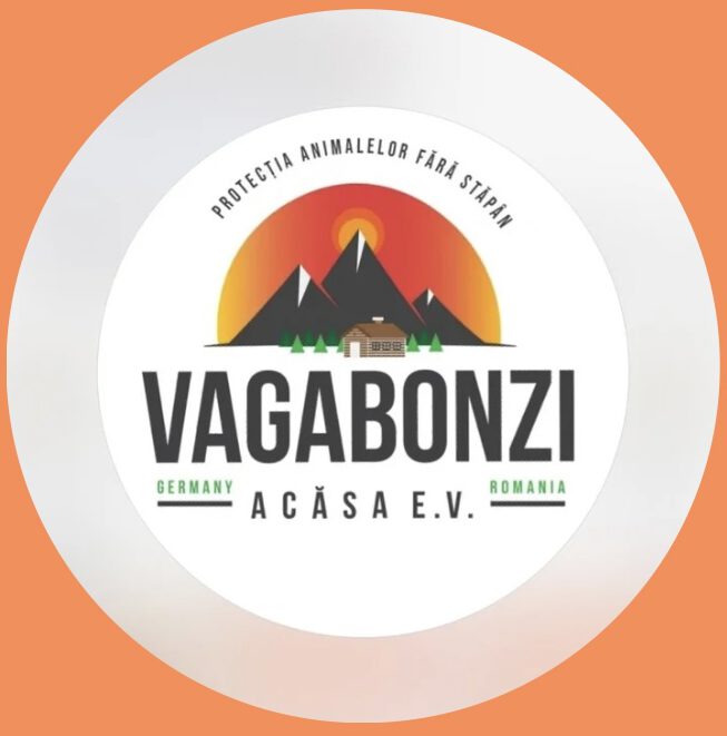 Vagabonzi Acasa