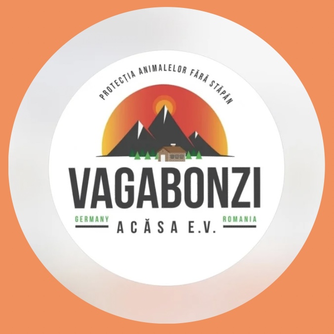 Vagabonzi Acasa