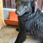 Fero