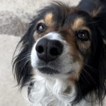 Quincy